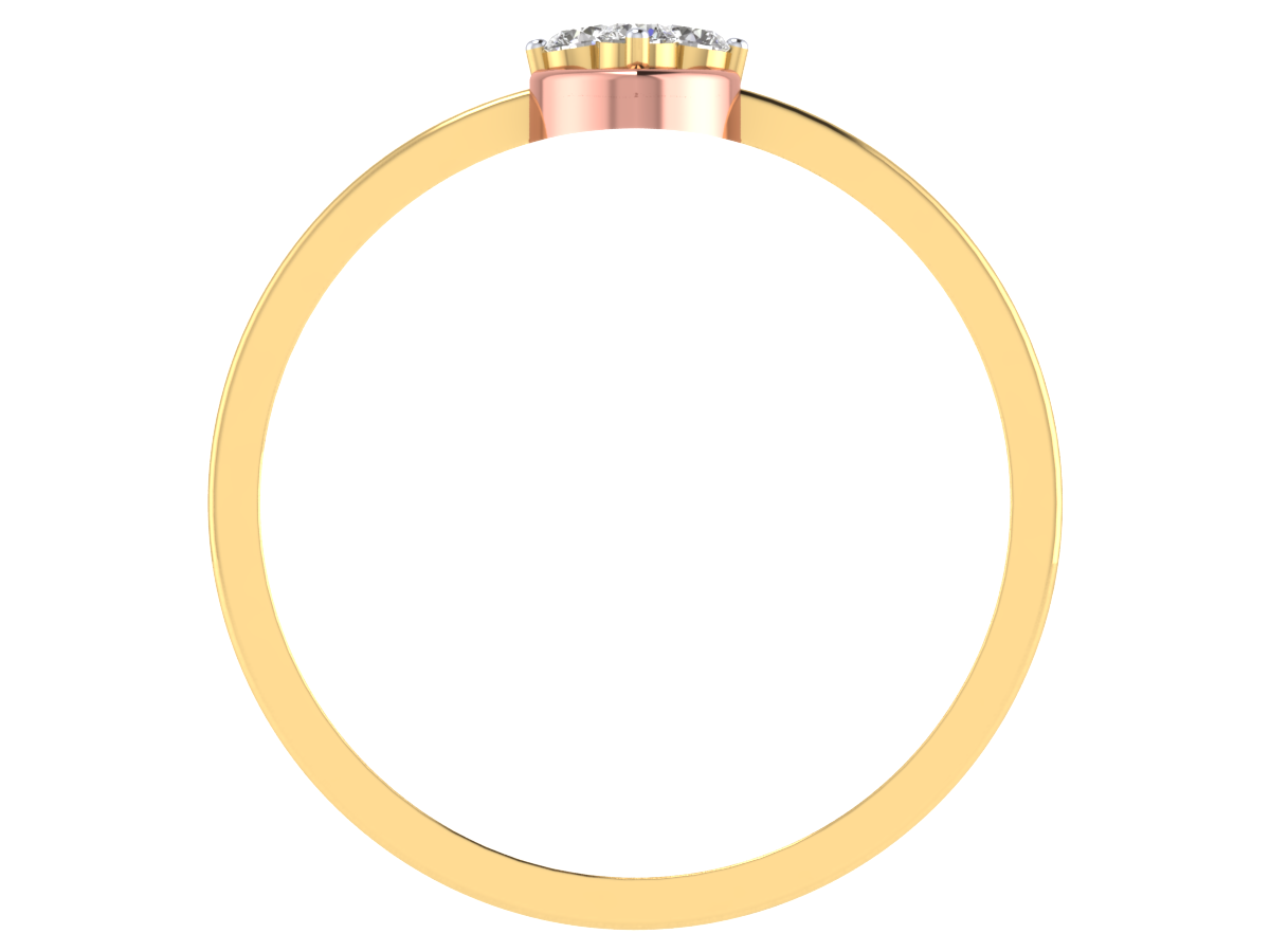 Charlotte's Crown