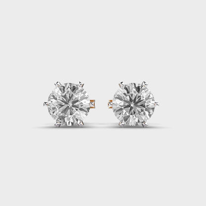 Solitaire Sparkle Studs